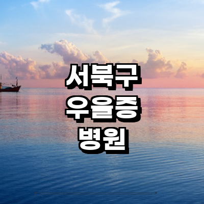 천안 서북구 우울증