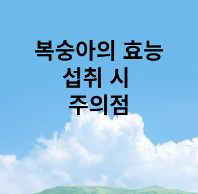 대표 포스터