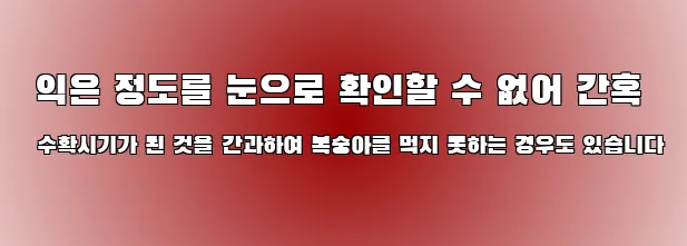 익은 정도를 눈으로 확인할 수 없어 간혹 수확시기가 된 것을 간과하여 복숭아를 먹지 못하는 경우도 있습니다