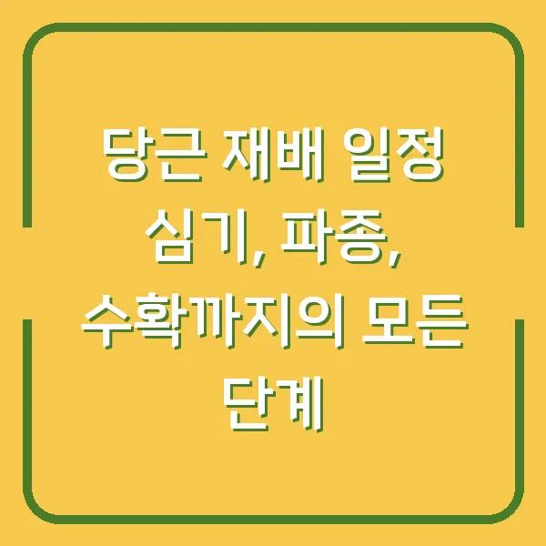 당근 재배 일정 심기, 파종, 수확까지의 모든 단계