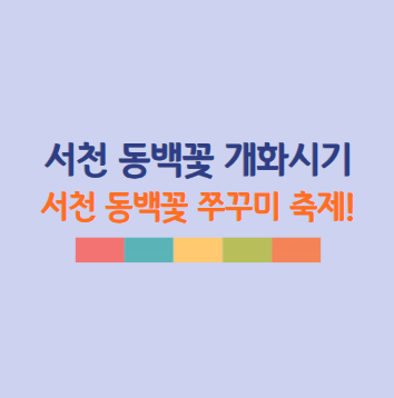 2025 서천 동백꽃 주꾸미 축제 &amp; 서천 동백꽃 개화 시기 총정리