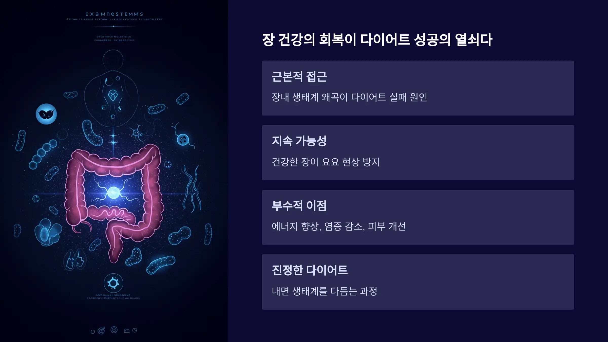 장 건강의 회복이 다이어트 성공의 열쇠다
