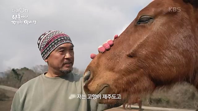 [189회] 다큐온 - KBS남훈 씨의 각별한 말 사랑] 연평균 1400여 마리의 경주마들이 경마장을 떠나 퇴역 경주마가 된다.ts_20230330_211142.900.jpg