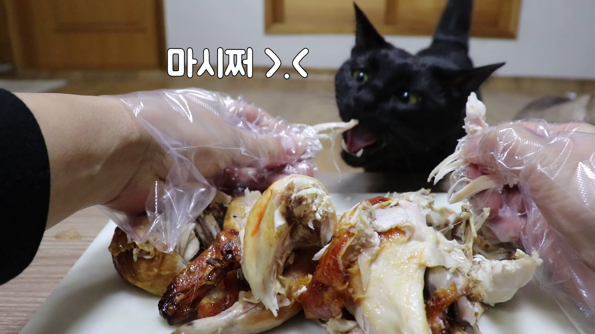  고양이 자연식 #29 - 영계통구이