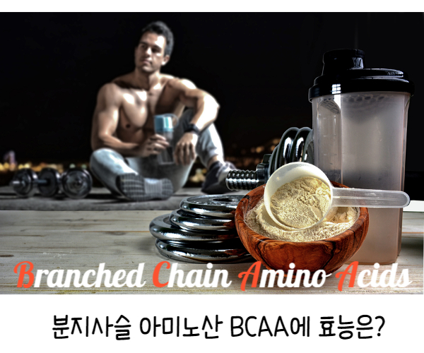 류신 이소류신 발린 BCAA의 효능