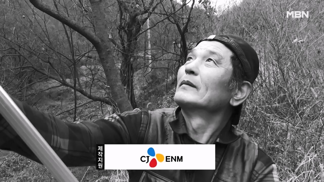 나는 자연인이다.E583.231207p-NEXT.mp4_20231207_195423.325.jpg
