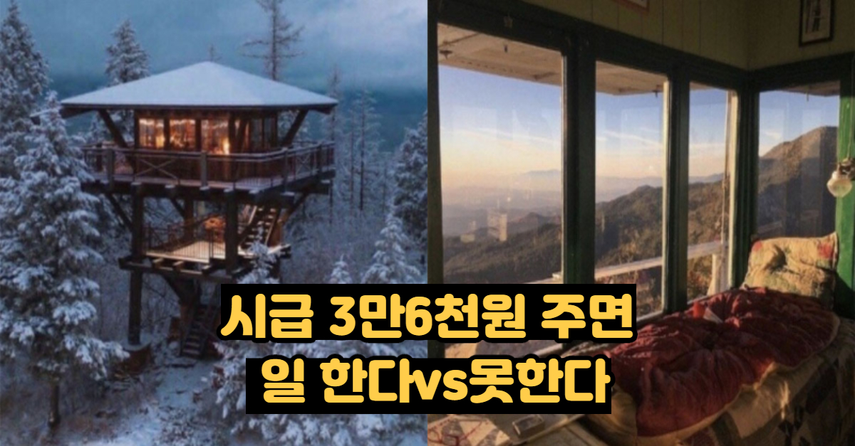  시급 3만6천원 주면 이 일 한다vs못한다