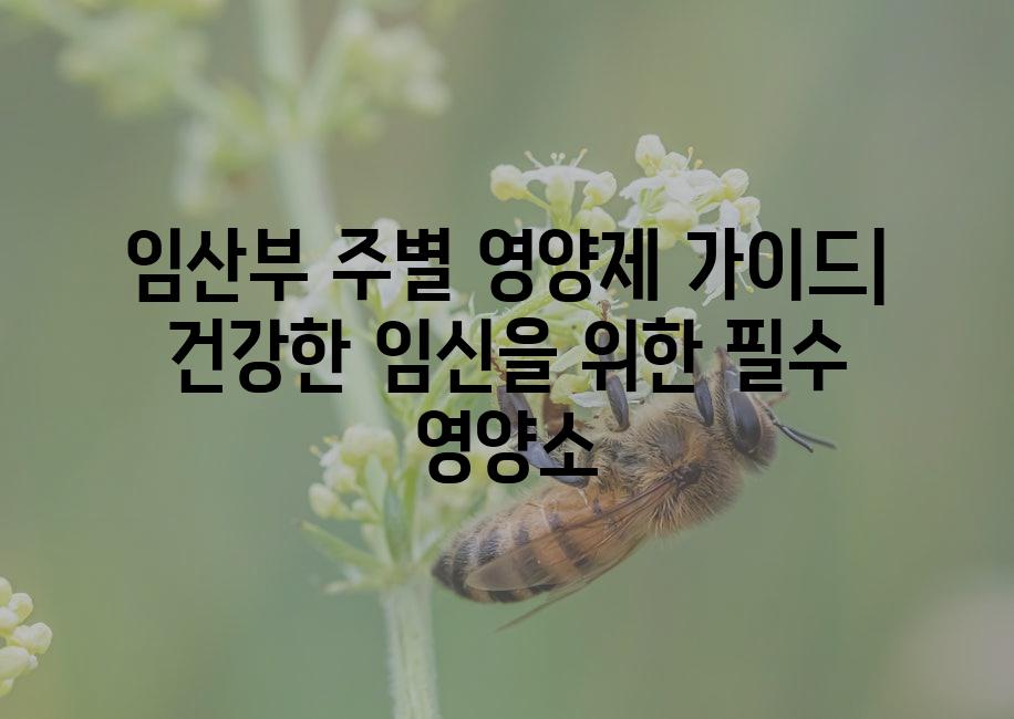 API 할당량 초과 오류 1