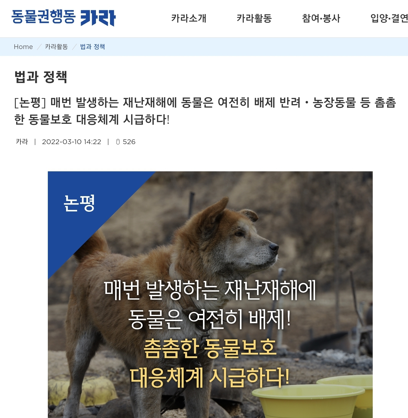 카라 법과 정책 논평 페이지 캡쳐