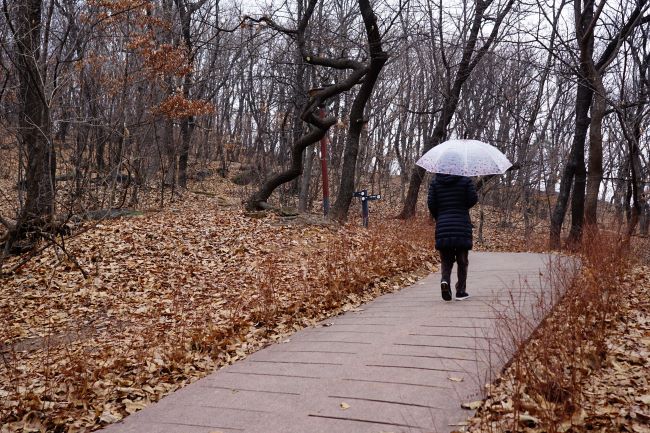 숲속길에 흰 우산 여성 1&#44; 좌 우에 수북한 낙엽&#44;