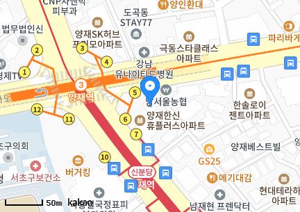 서울시 서초구 양재동 일요일 진료 휴일 문 여는 병원