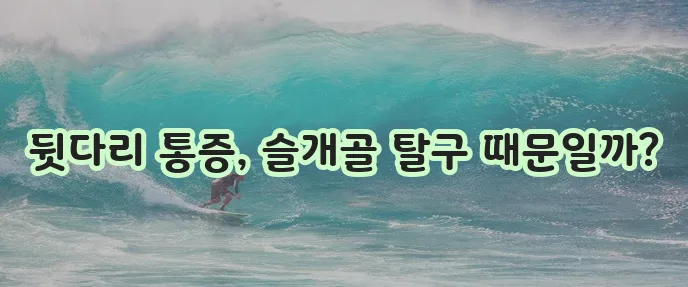 강아지 슬개골 탈구 단계 뒷다리 통증 원인 확실히 알아봐야 합니다!