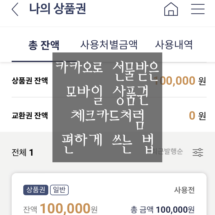  [카카오 모바일 상품권] 백화점 상품권 반환 잔액 걱정 없이 소액도 포인트처럼 편하게 차감하며 쓰는 법! (10단계)