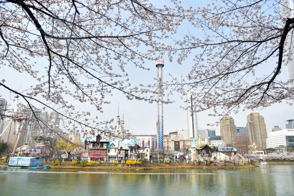벚꽃
