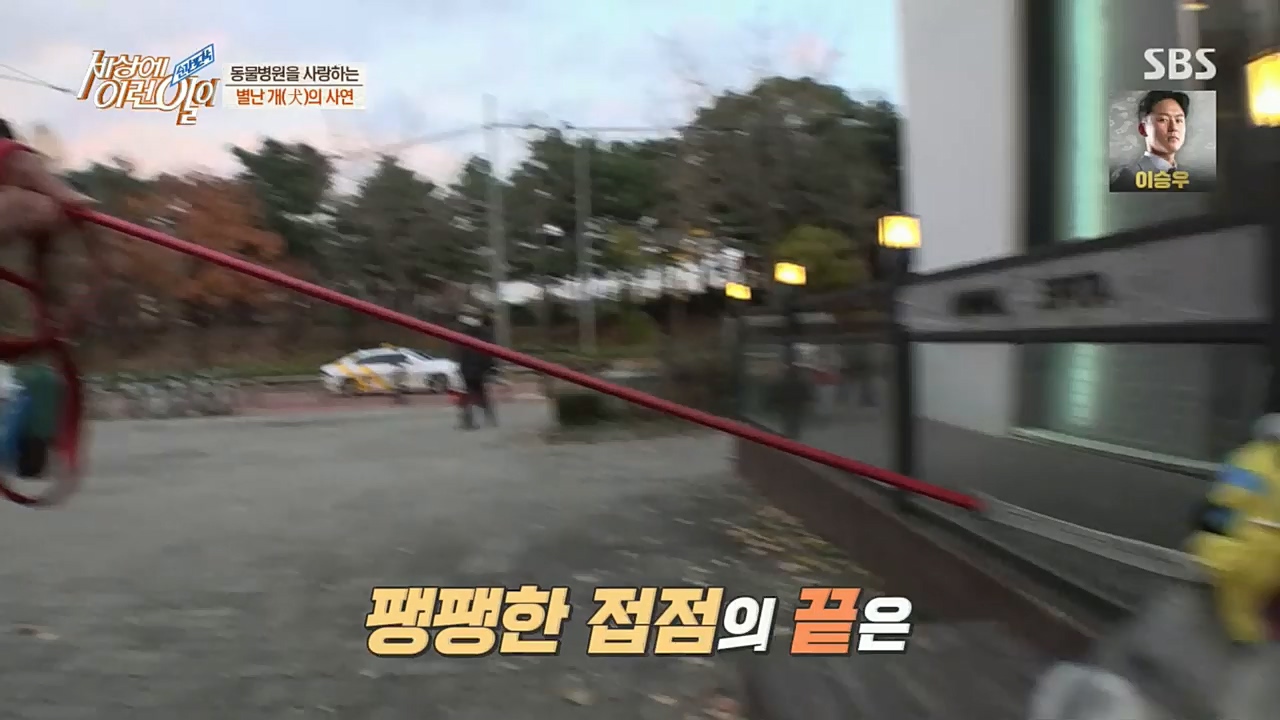 순간포착 세상에 이런일이.E1207.221130p.H264-F1RST.mp4_20221130_195702.882.jpg