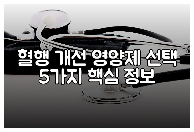 혈행 개선 영양제 선택 5가지 핵심 정보