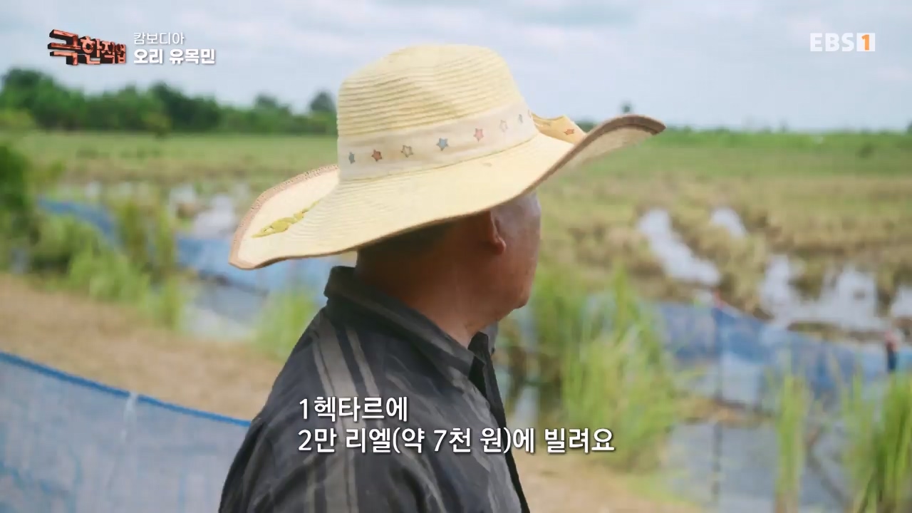 TV - 전 국민의 평생학교 EBS캄보디아 오리 유목민과 블루크랩 어부.mp4_20231223_175343.361.jpg
