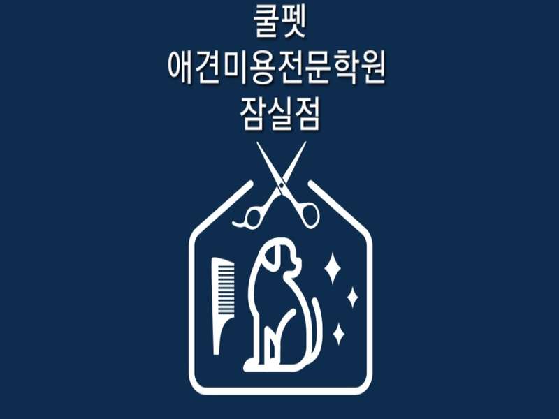 4. 쿨펫애견미용전문학원 잠실 소개