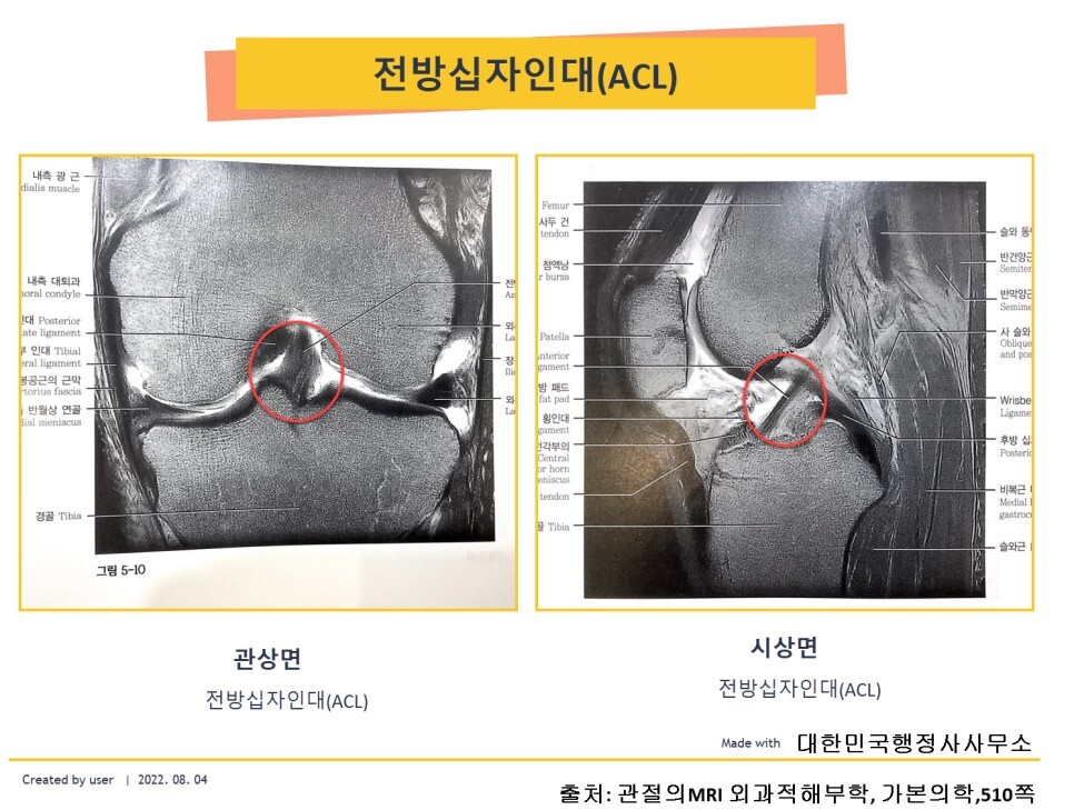 행정사사무소본 이미지