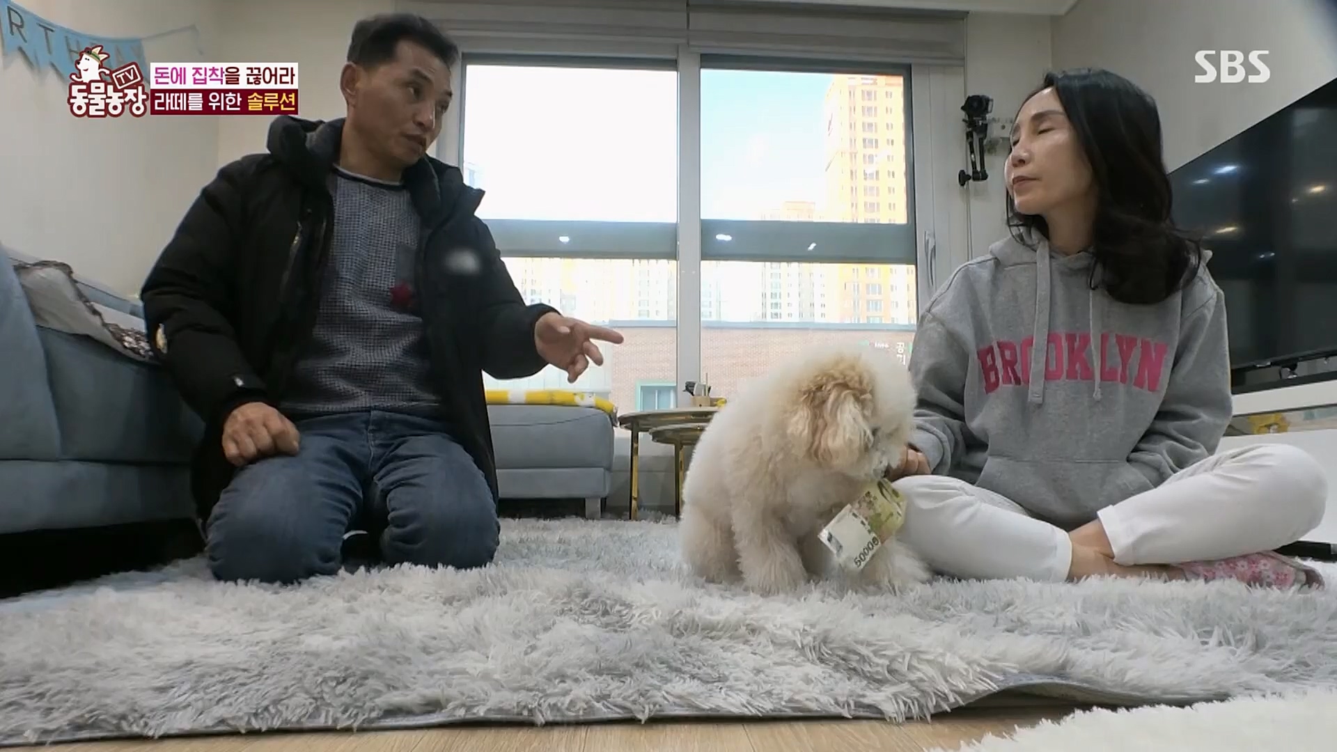 TV 동물농장.E1107.230205p.H264-F1RST.mp4_20230205_173937.887.jpg