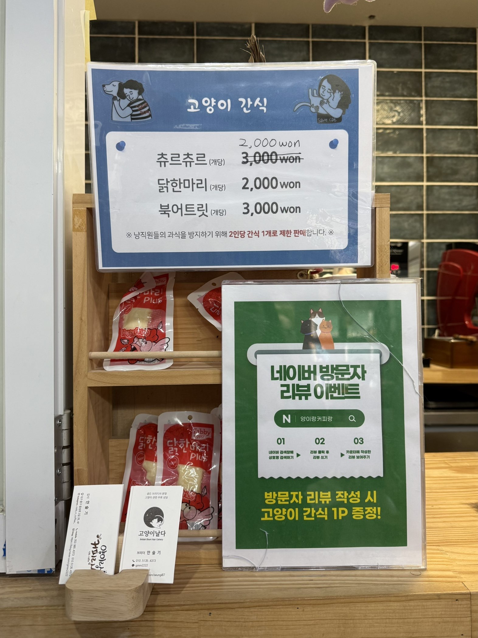 대구 고양이 카페