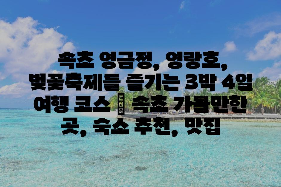 샘플 (72)