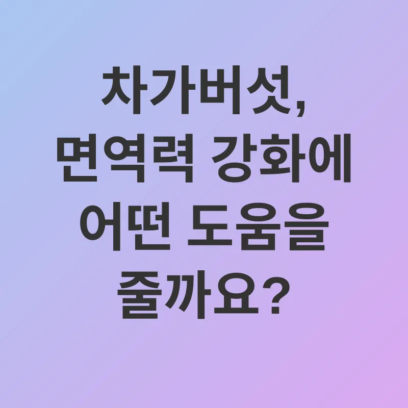 차가버섯 효능_1