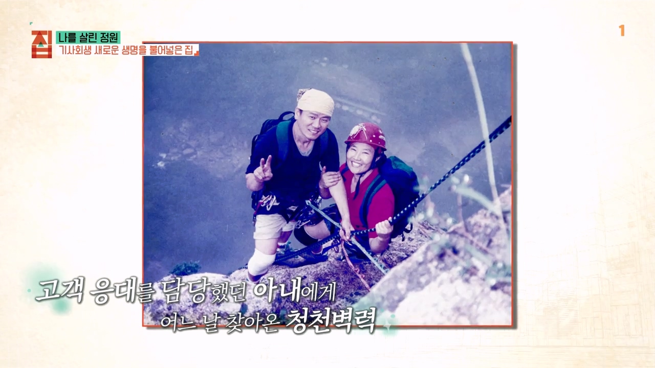 TV - 전 국민의 평생학교 EBS나를 살린 정원.mp4_20230814_210609.205.jpg