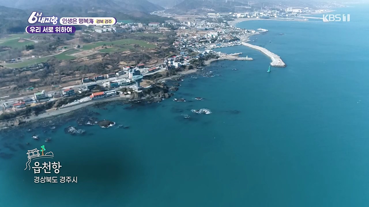 6시 내고향.E7744.230314p.H264-F1RST.mp4_20230314_175014.184.jpg