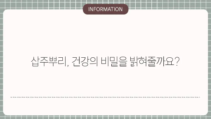 삽주뿌리 효능과 활용법 총정리