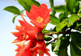 article thumbnail image