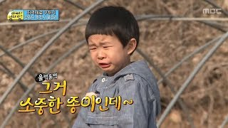 잔디와사람들 이미지