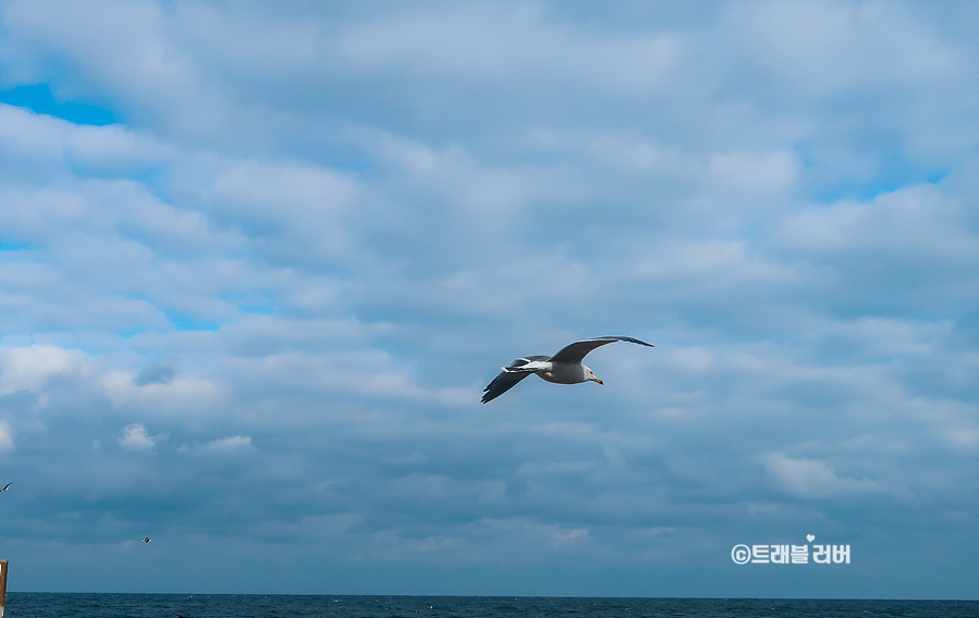 동해바다 볼거리 양양 휴휴암 30