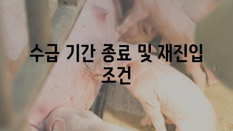 수급 기간 종료 및 재진입 조건