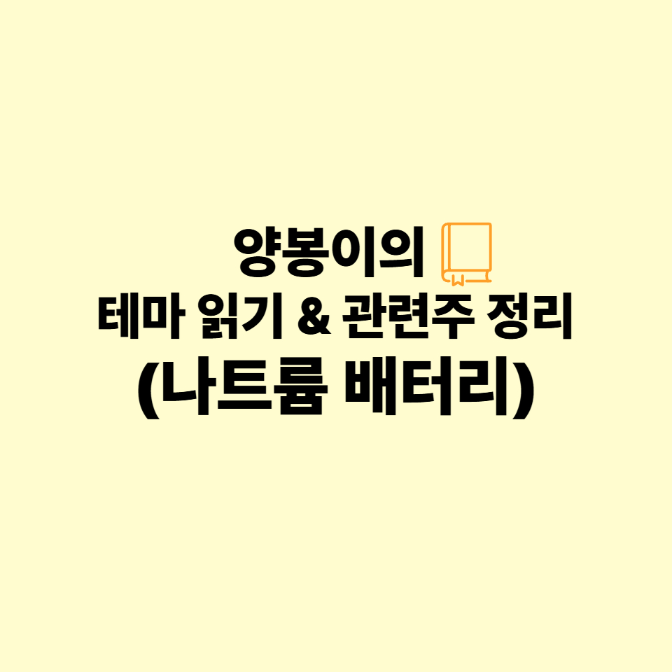 테마읽기-나트륨배터리