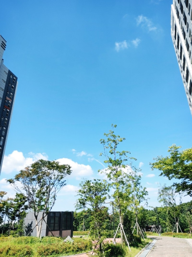  [팜엔탑] 초임계 알티지 rTG 오메가3 추천 독일산 식물성 연질캡슐 혈행건강 지켜보세요