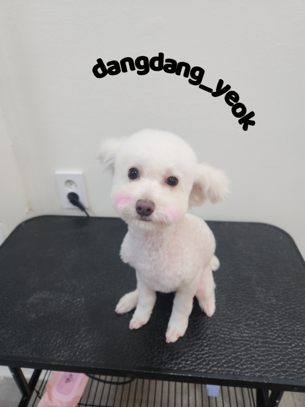 보리미용실 이미지