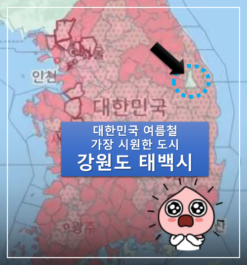2022년-기상청-폭염-특보-발효-지도설명-강원도-태백시-폭염아님