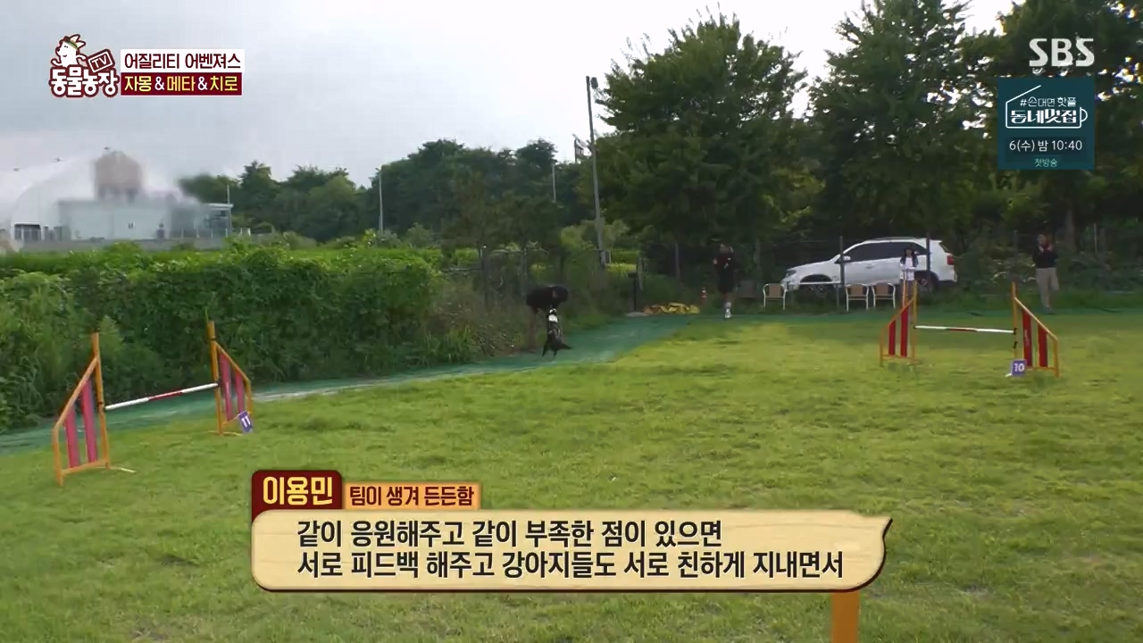 TV 동물농장.E1135.230828p-NEXT.mp4_20230827_180808.323.jpg
