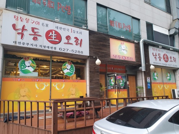 낙동생오리 이미지