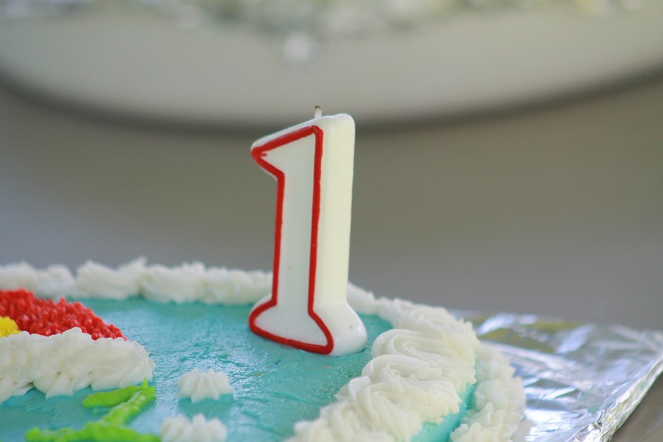  블로그 1주년을 맞이하며... (TISTORY- Nara's BLOG 1주년)