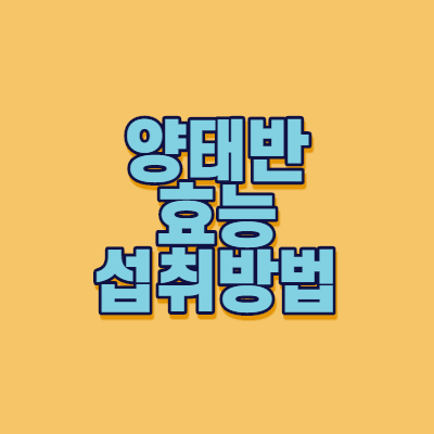  양태반 효능과 섭취방법 및 주의사항