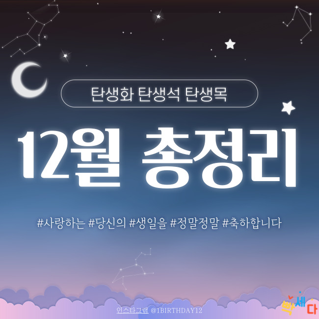  12월 총정리!! 12월 탄생화, 탄생석, 탄생목 알아보기!! 당신의 탄생일을 진심으로 축하합니다
