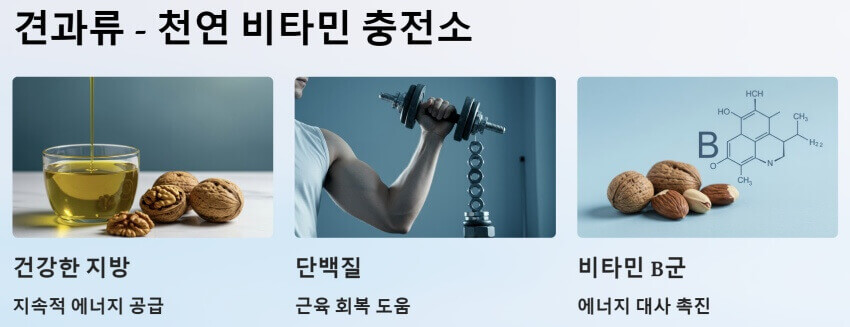 견과류 ppt 이미지