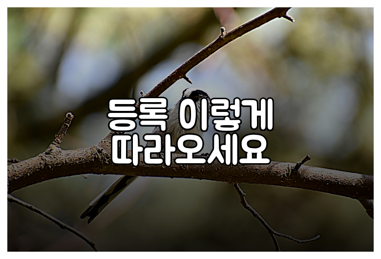 등록 이렇게 따라오세요