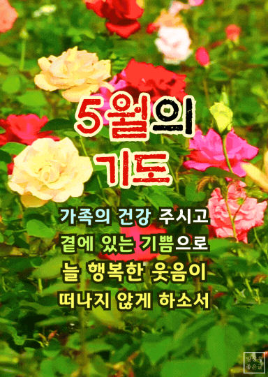 5월의 웃음이 머무는 기도 감성 이미지