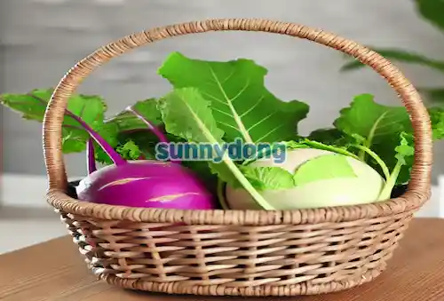 콜라비 이미지