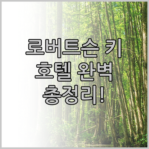 싱가포르 로버트슨 키 호텔 완벽 분석