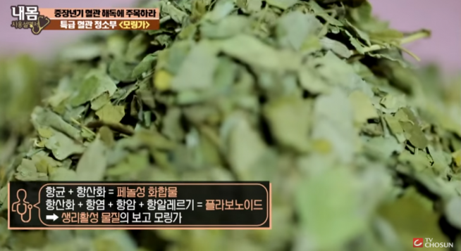  모링가의 효능 및  부작용