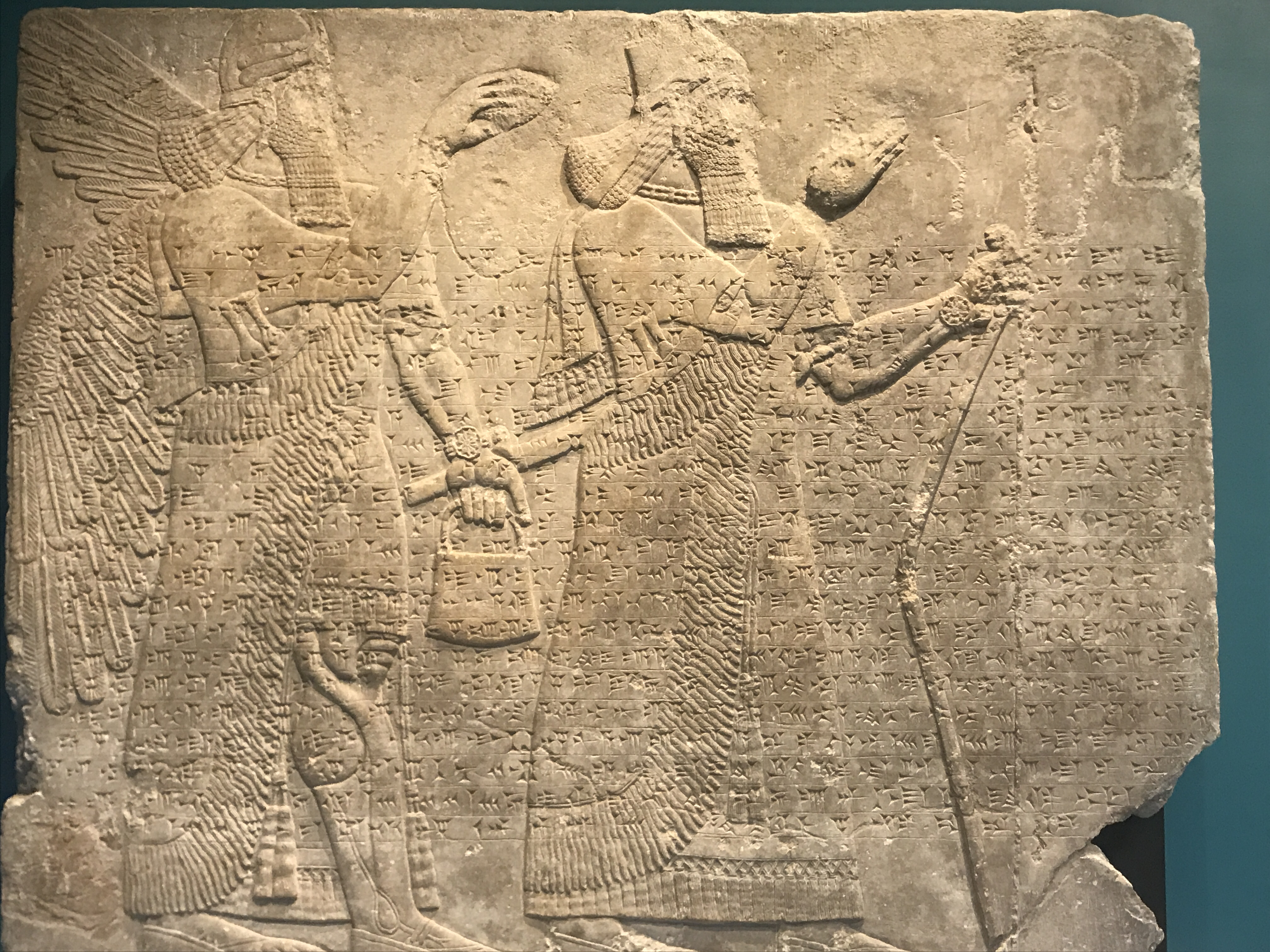 The Assyrian reliefs